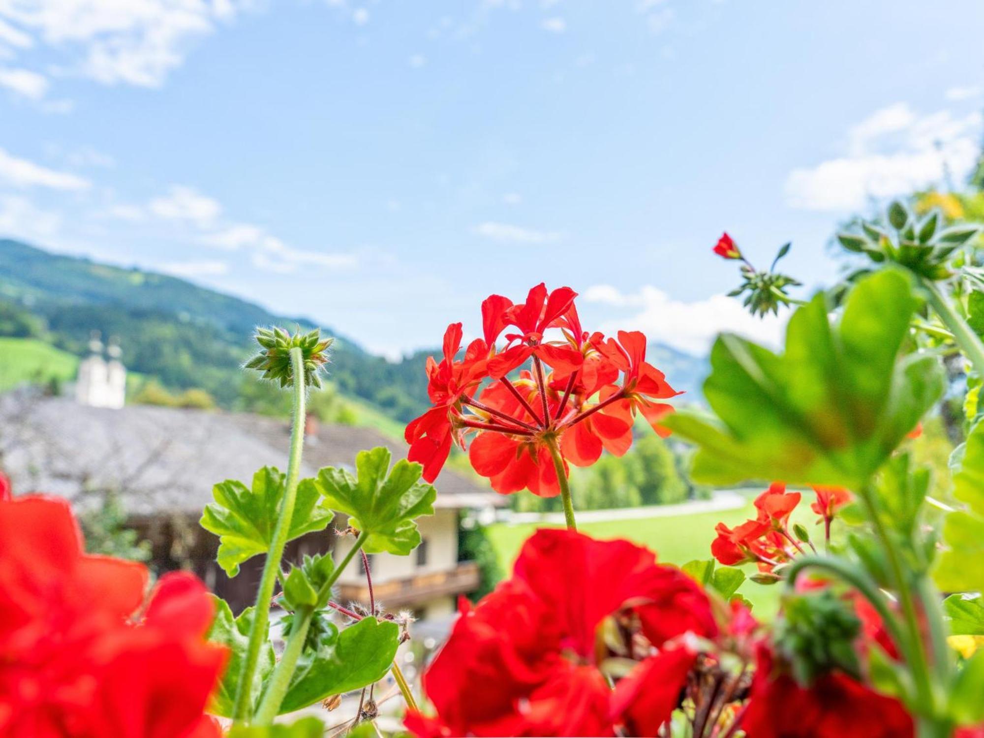 Alte Grafenmuehle Βίλα Hopfgarten im Brixental Εξωτερικό φωτογραφία